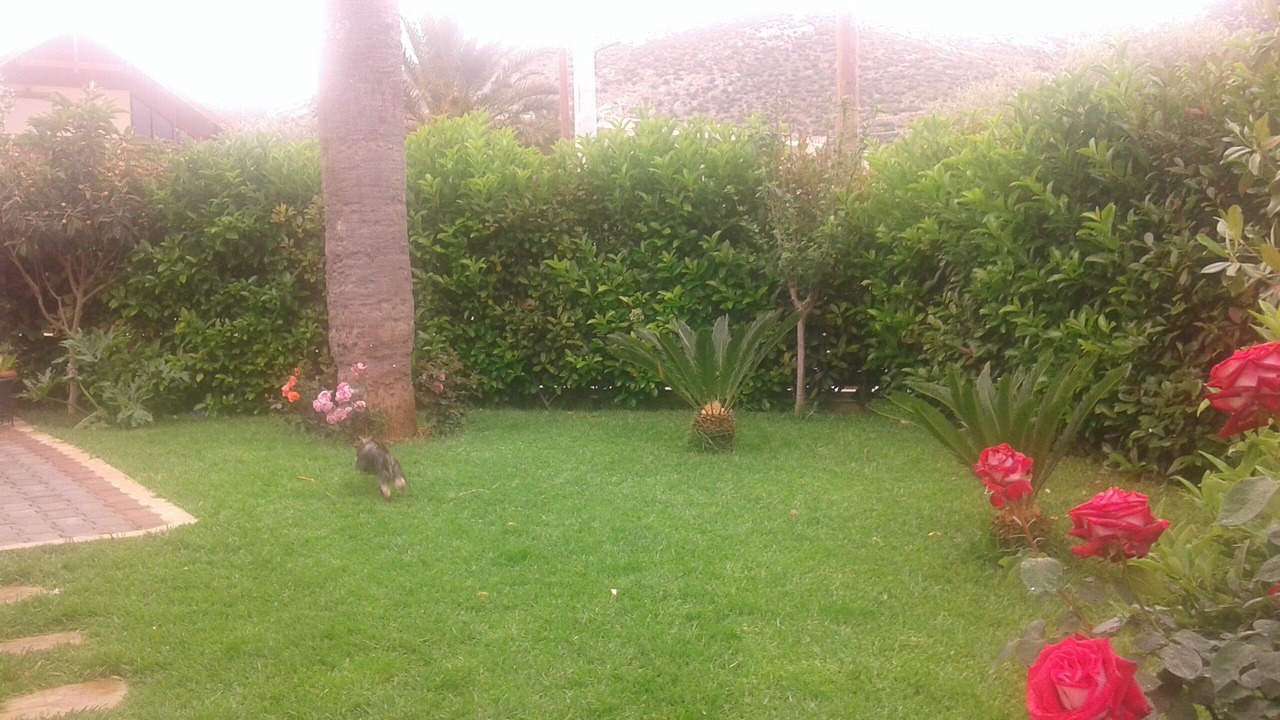 Photo of Outdoor in Markopoulo Mesogaias