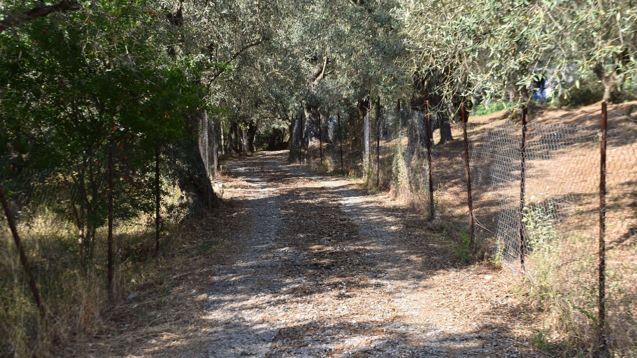 Photo of Outdoor in South Pelion