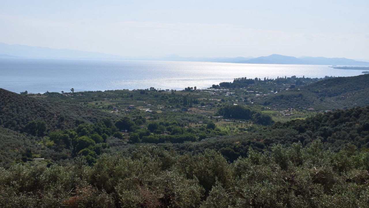 Photo of Others in South Pelion
