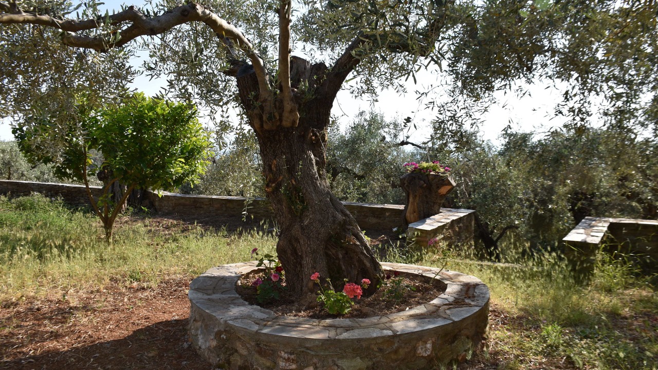 Photo of Outdoor in South Pelion