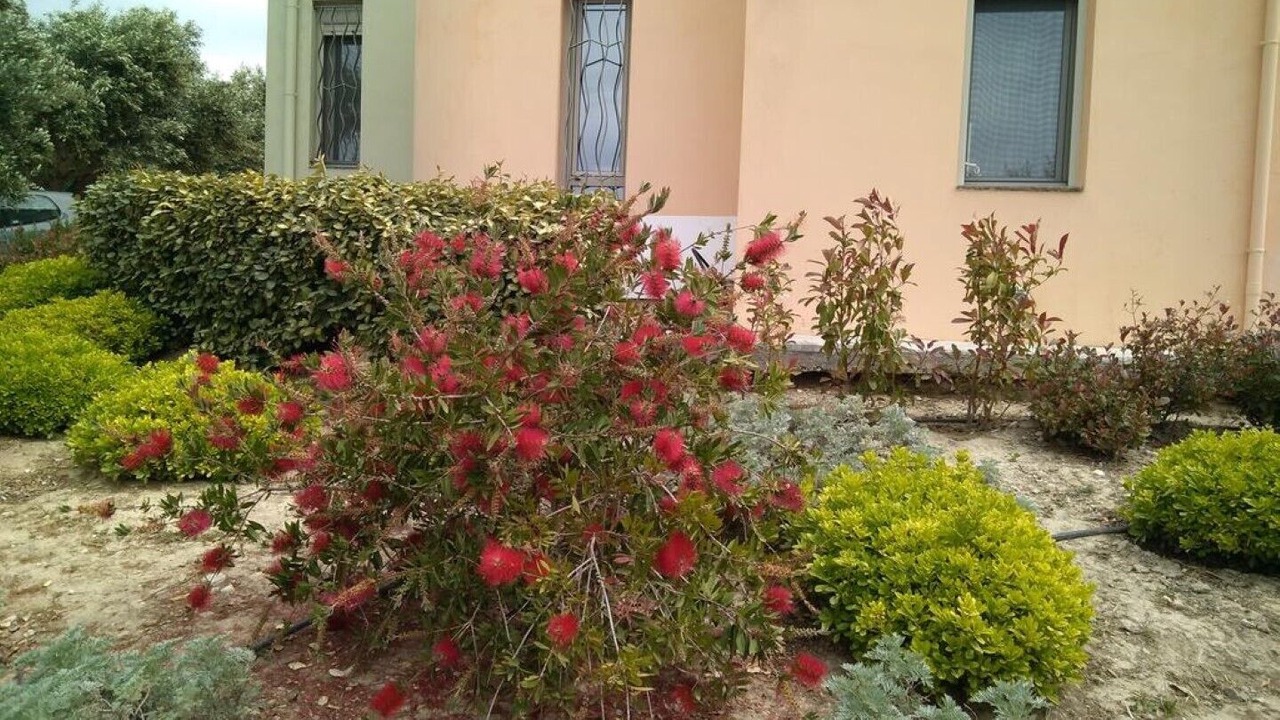 Photo of Outdoor in Kompi