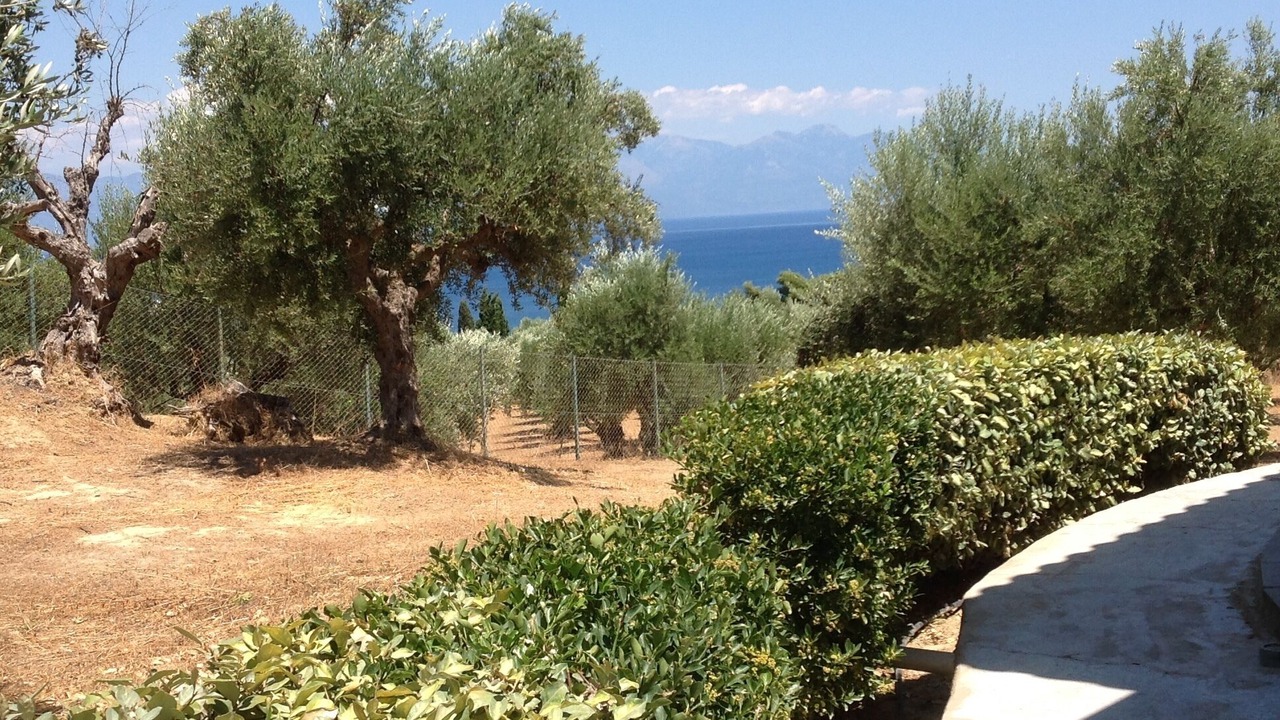 Photo of Outdoor in Kompi