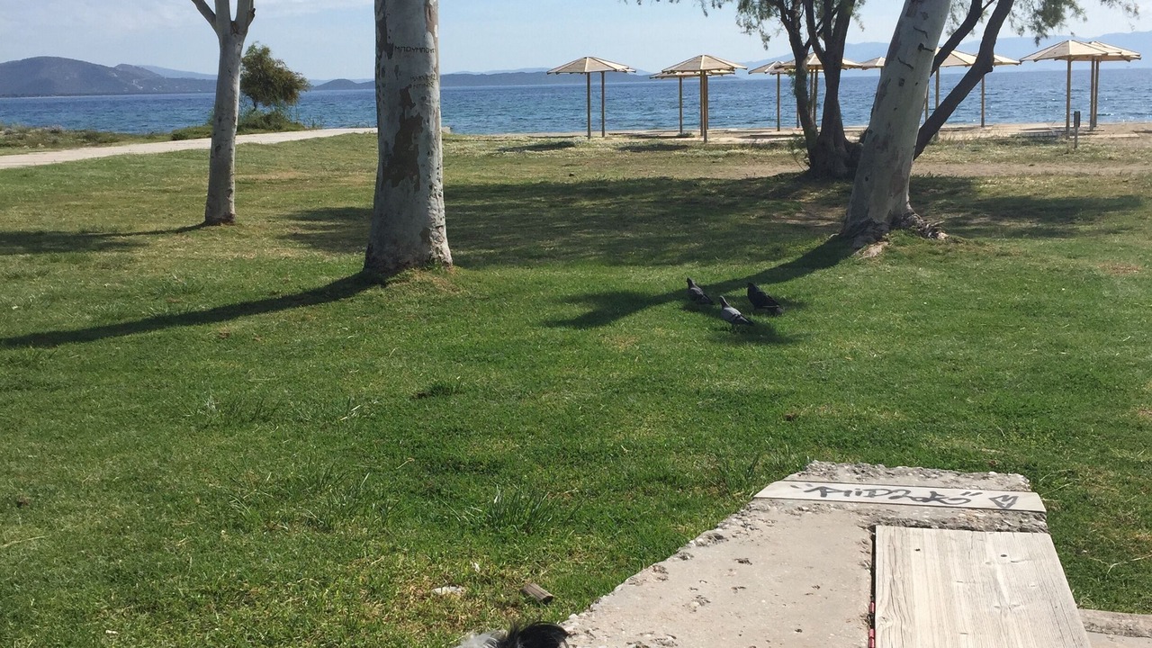 Photo of Others in Nea Makri
