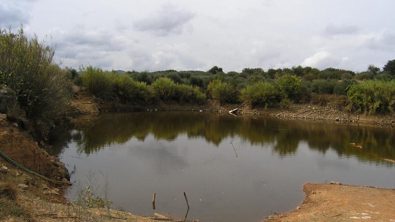 Photo of Others in Mochos