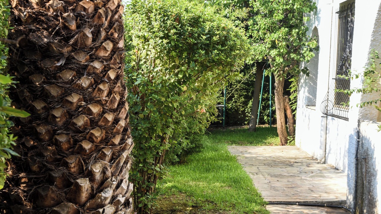 Photo of Outdoor in Nea Makri