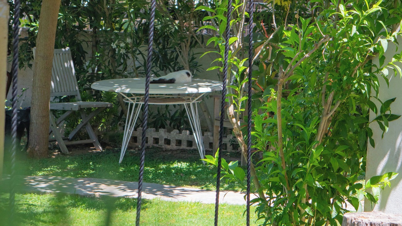 Photo of Patio Balcony in Lavreotiki