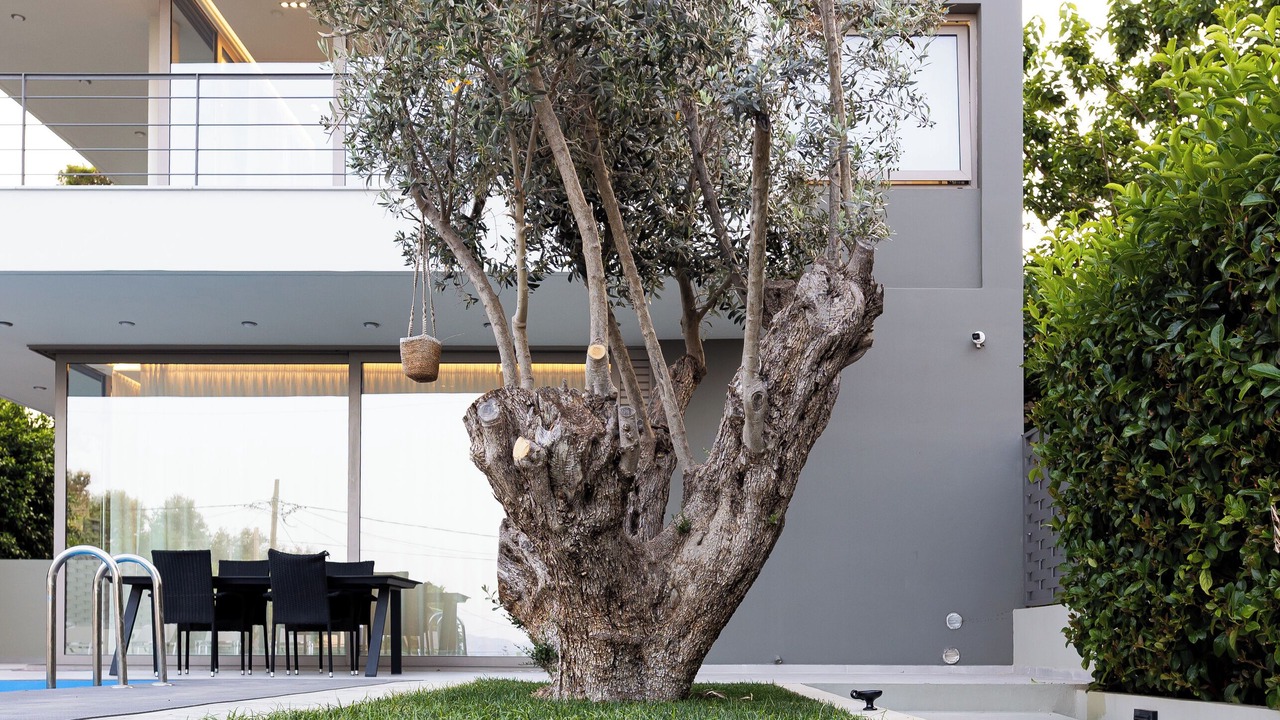 Photo of Outdoor in Nea Makri