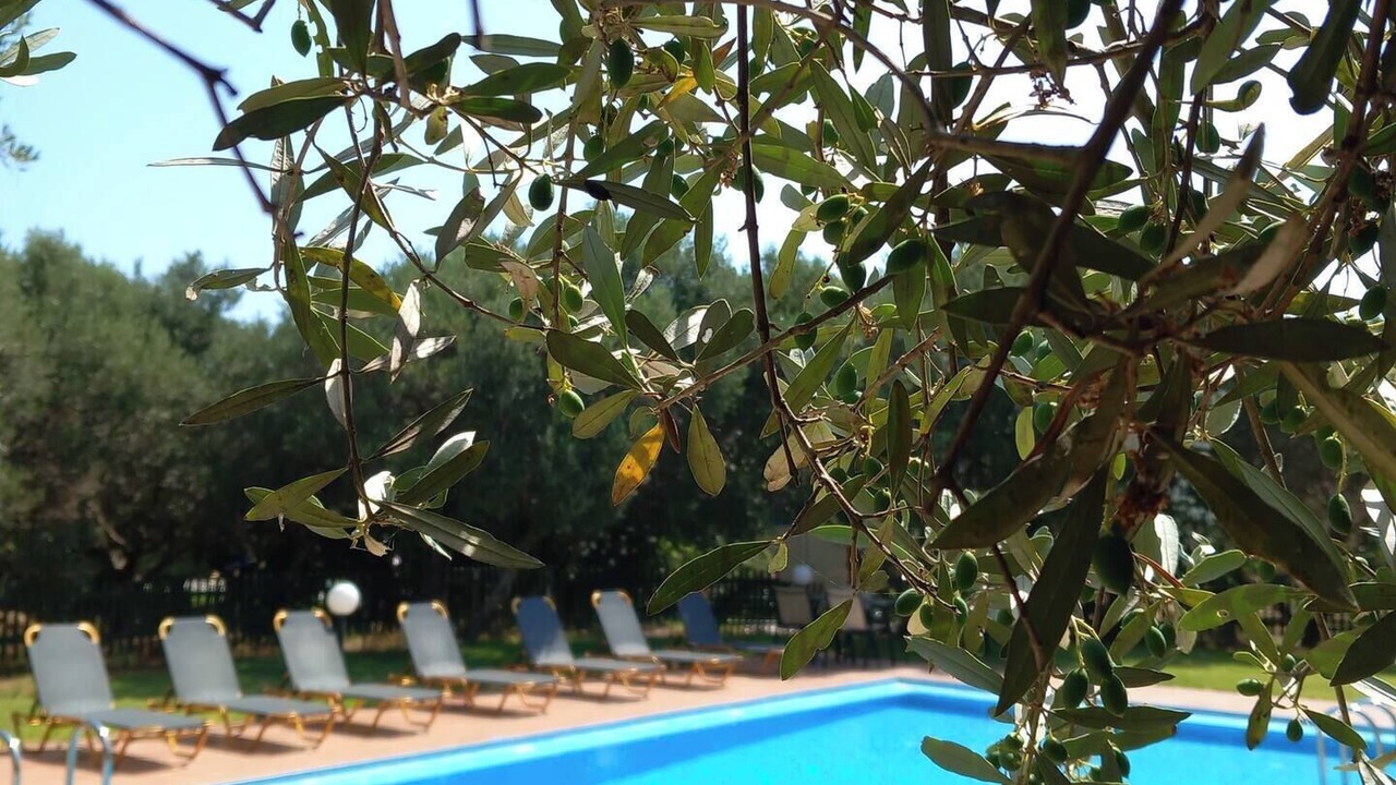 Photo of Outdoor in Pyrgos Psilonerou