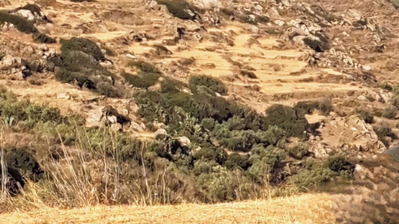 Photo of Others in Vivlos