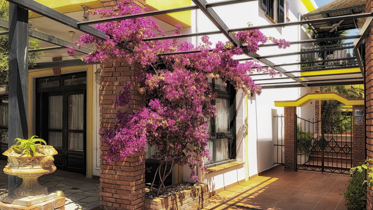 Photo of Outdoor in Afytos