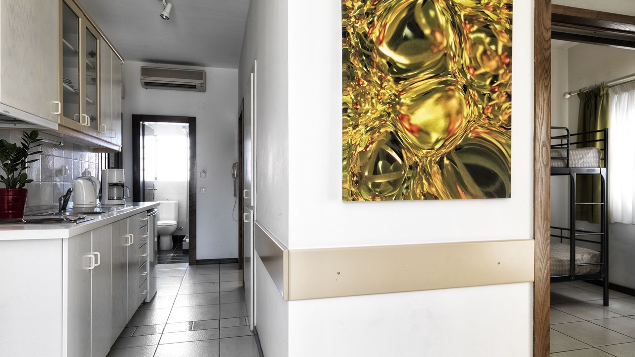 Photo of Kitchen in Afytos