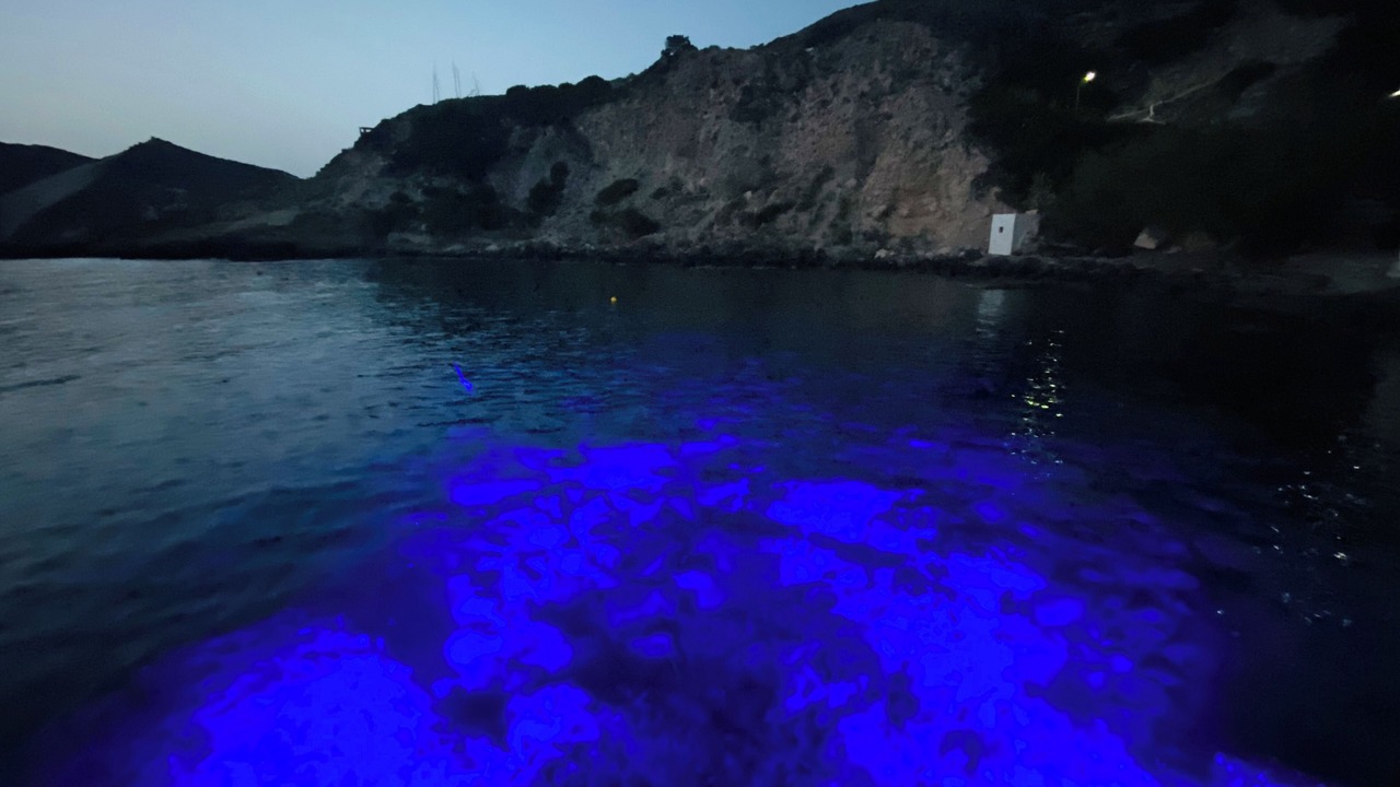 Photo of Others in Milos