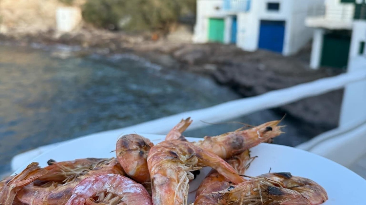 Photo of Others in Milos