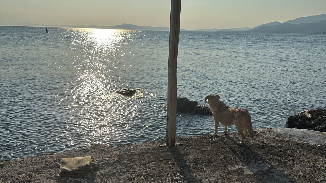 Photo of Outdoor in Afissos