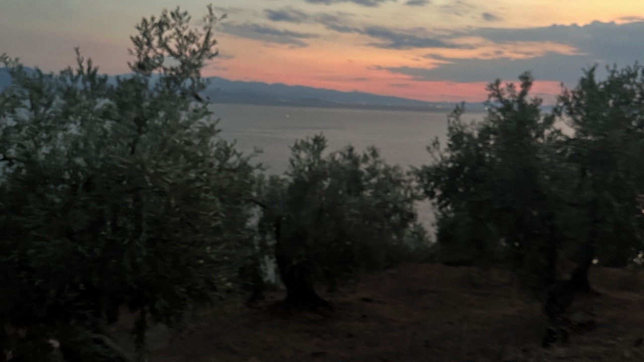 Photo of Others in Afissos