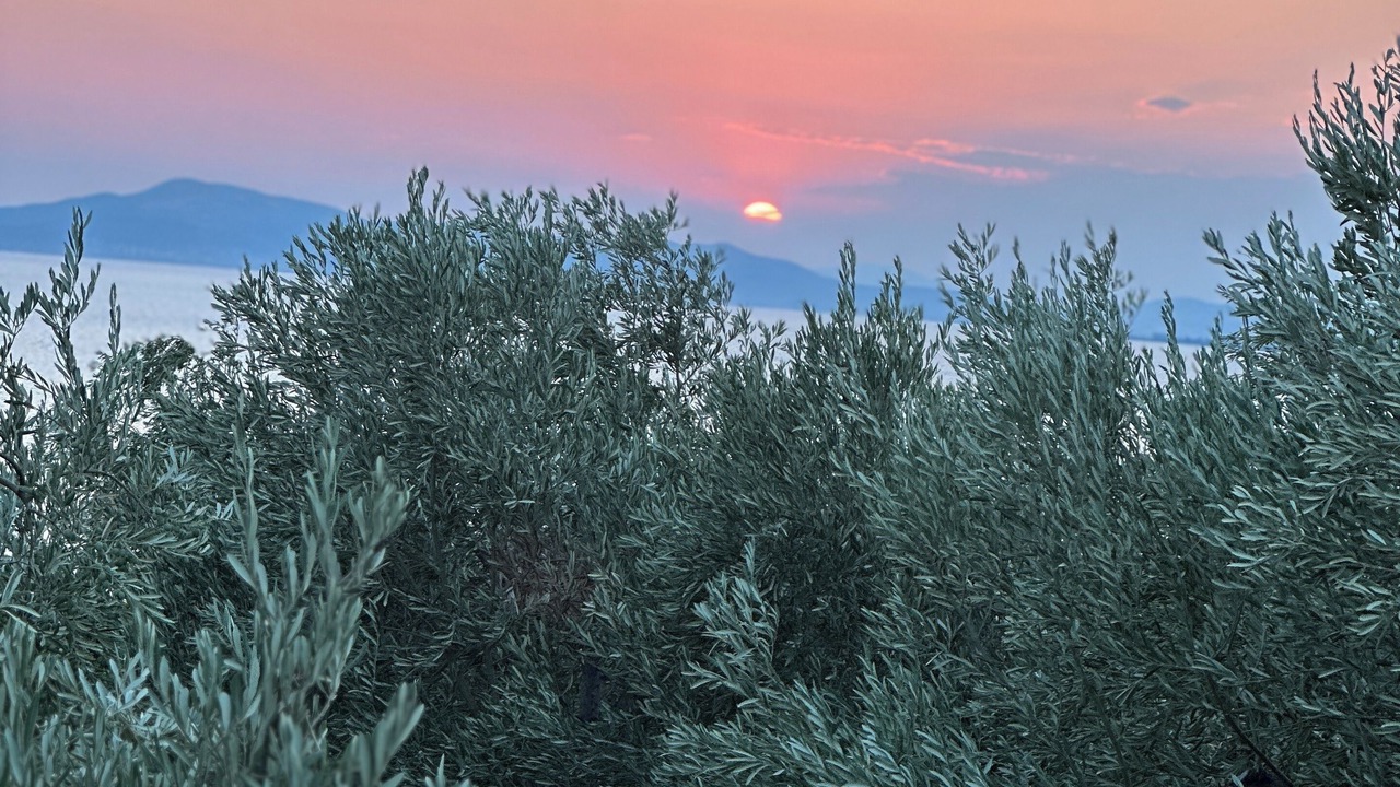 Photo of Others in Afissos