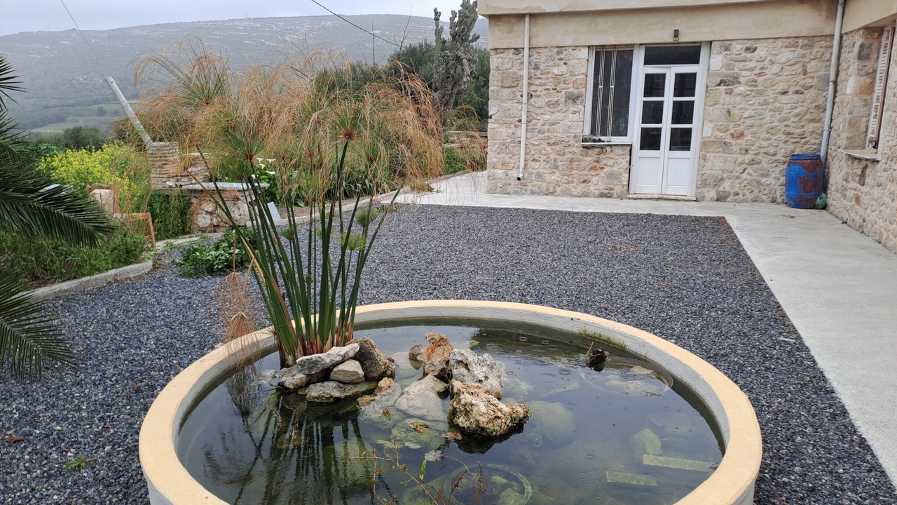 Photo of Outdoor in Knosos