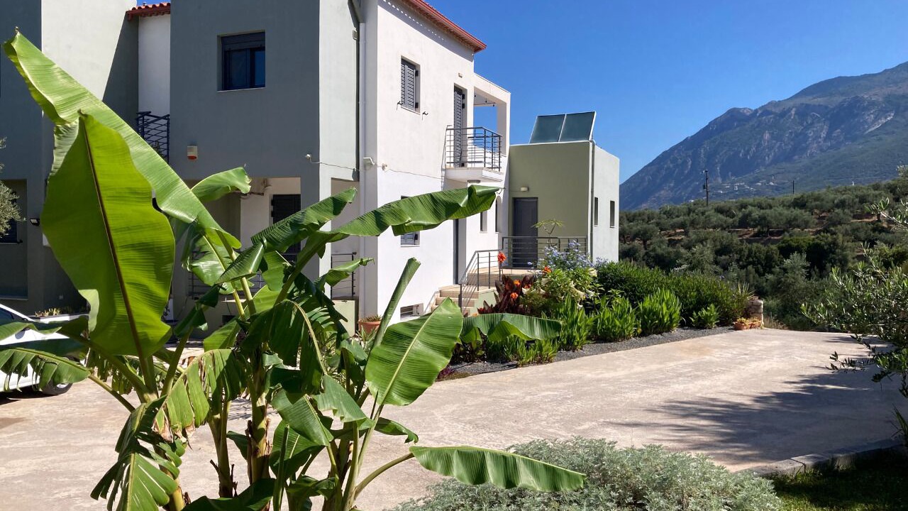 Photo of Outdoor in Avia