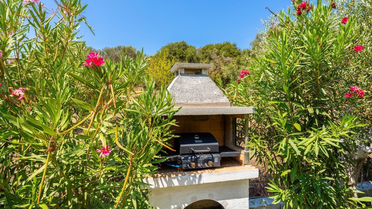 Photo of Outdoor in Spartia