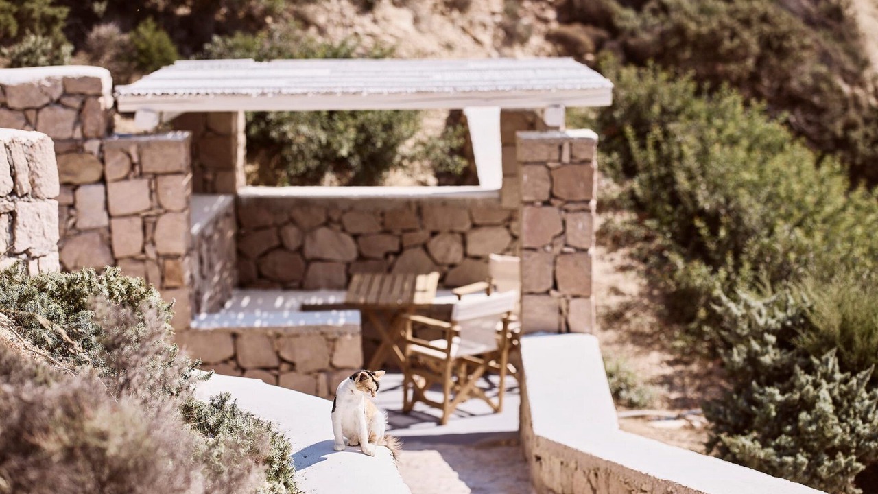 Photo of Others in Milos