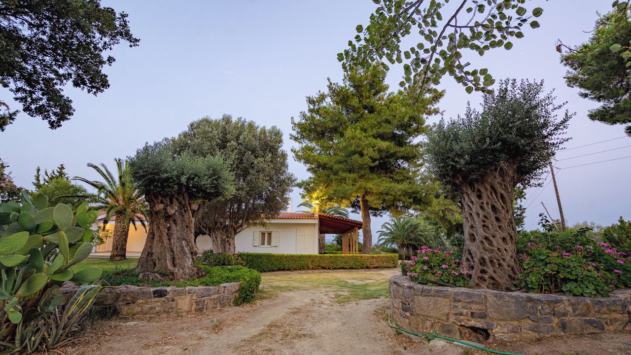 Photo of Outdoor in Amarinthos
