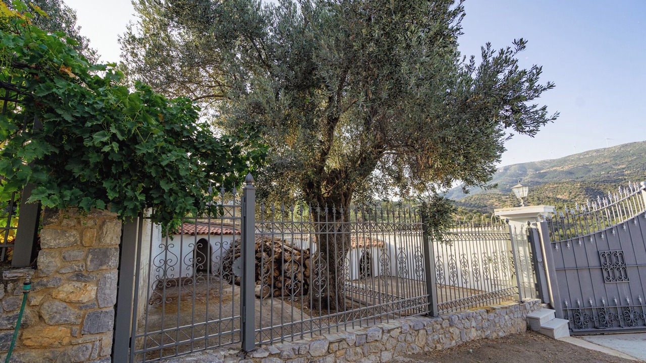 Photo of Outdoor in Amarinthos