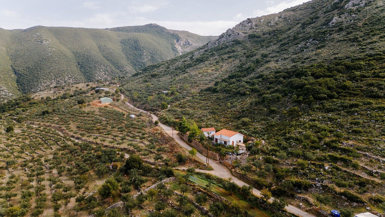 Photo of Outdoor in Diasella