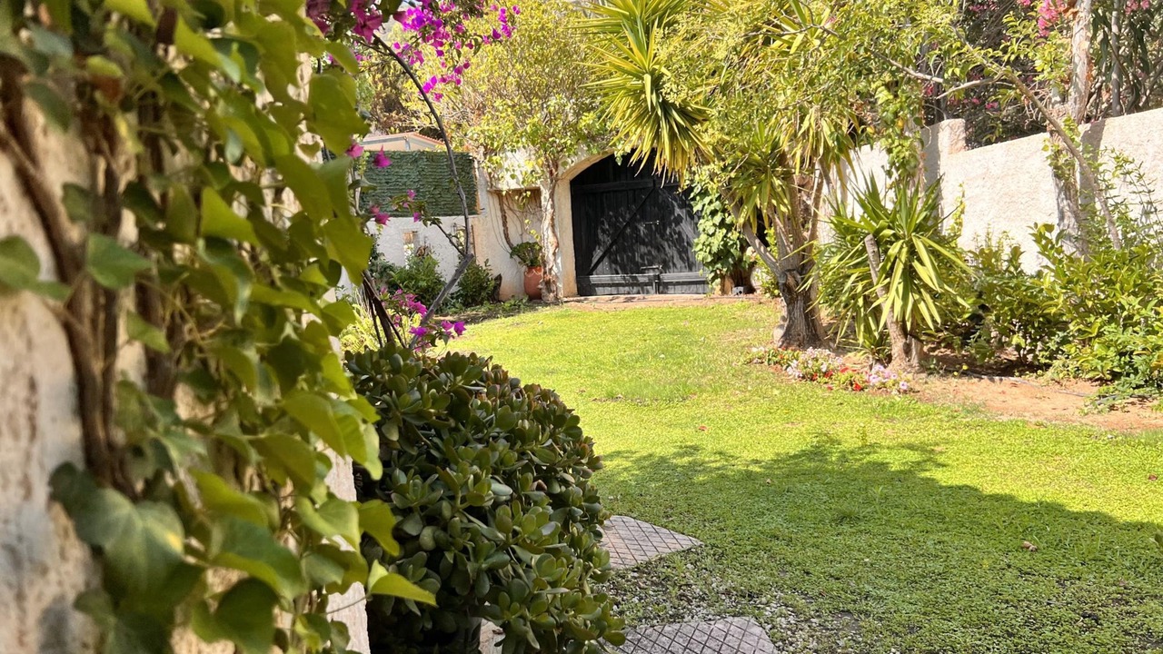 Photo of Outdoor in Vravrona
