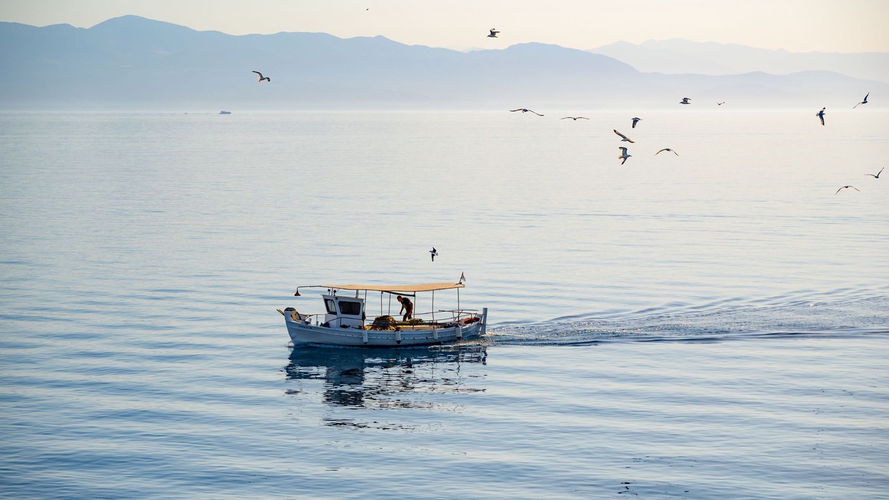 Photo of Others in Koutsi