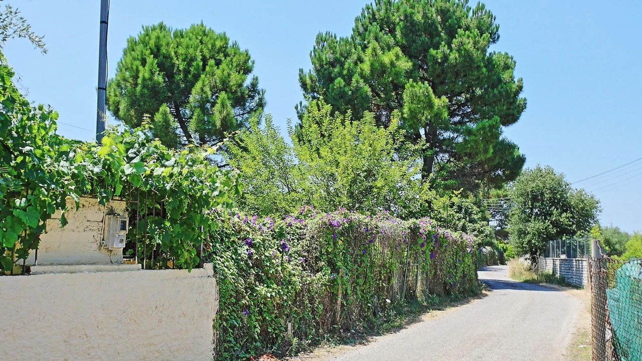 Photo of Outdoor in Almiros Beach