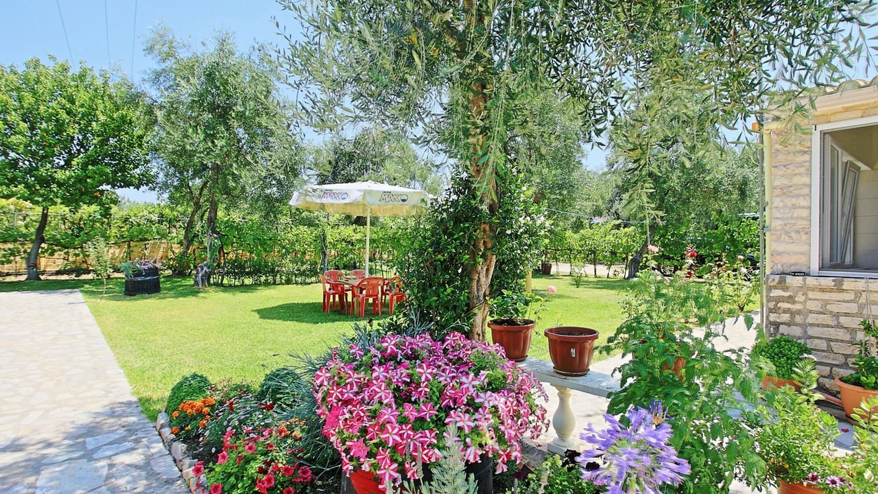 Photo of Outdoor in Almiros Beach