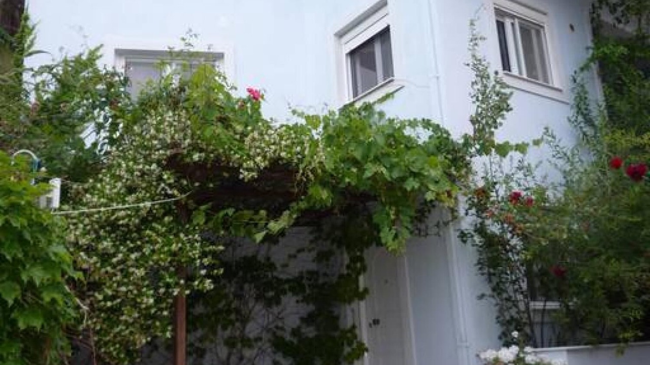 Photo of Outdoor in Agia Efimia