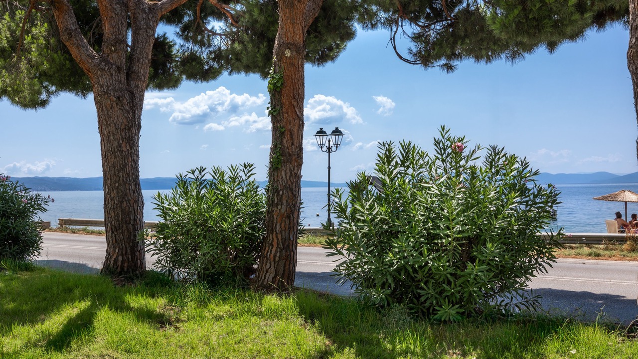 Photo of Others in Volos