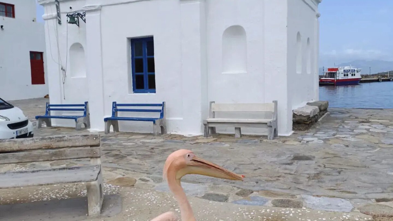 Photo of Outdoor in Little Venice