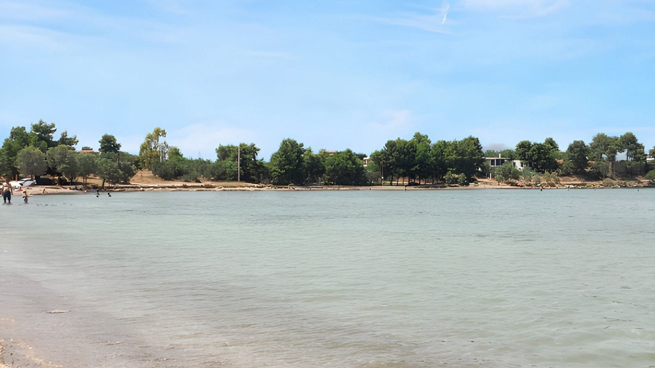 Photo of Others in Chalcis