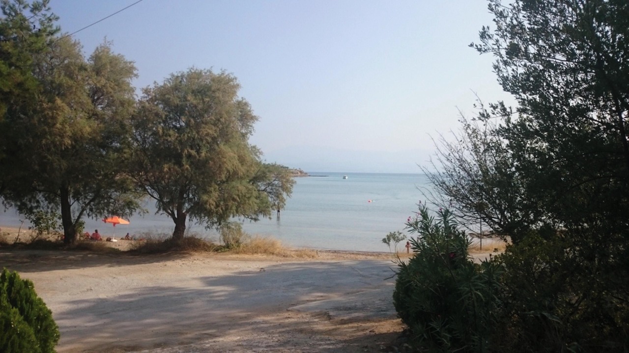 Photo of Others in Chalcis