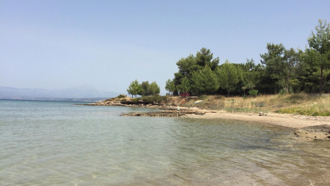 Photo of Others in Chalcis