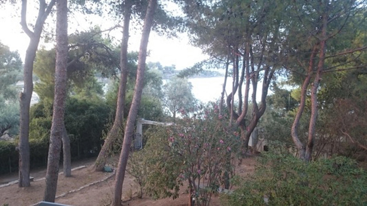 Photo of Others in Chalcis