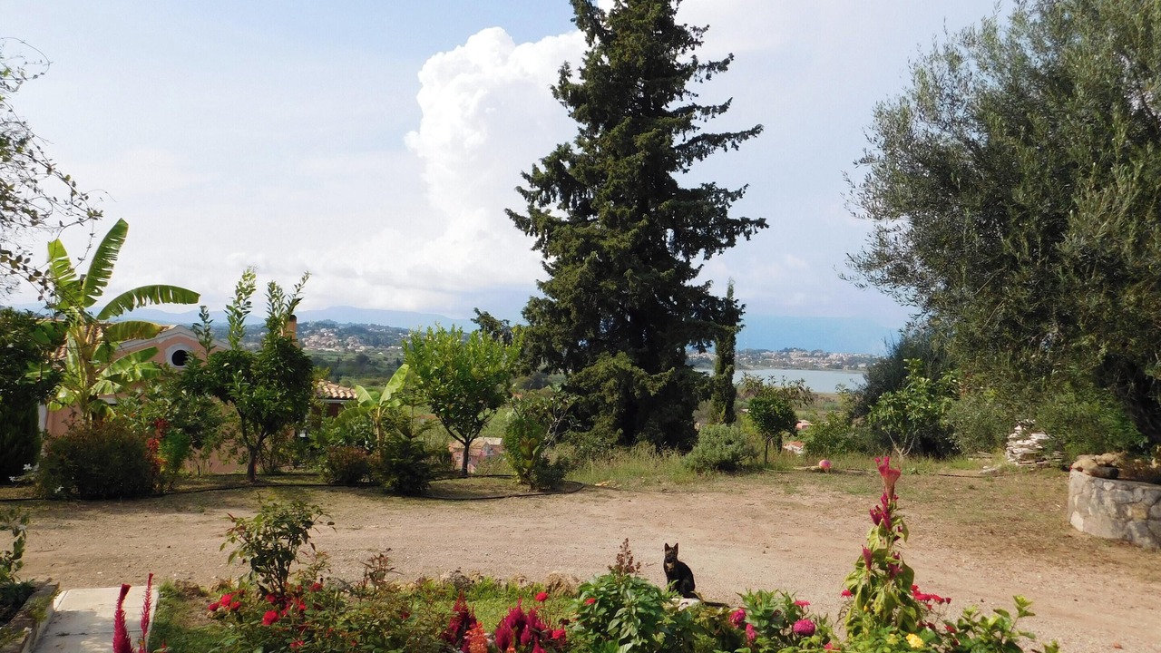 Photo of Outdoor in Perama