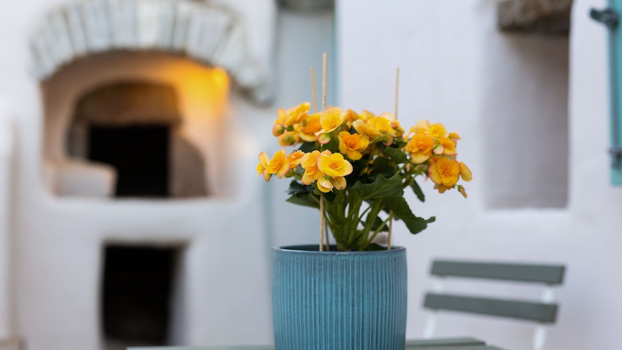 Photo of Outdoor in Naxos