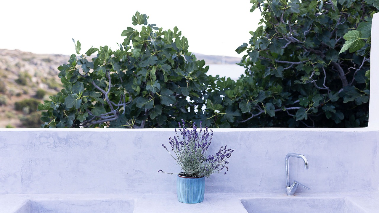 Photo of Outdoor in Naxos