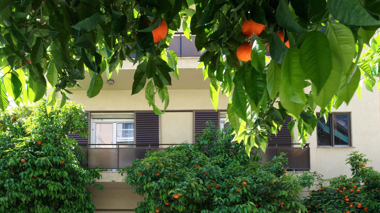Photo of Outdoor in Athens