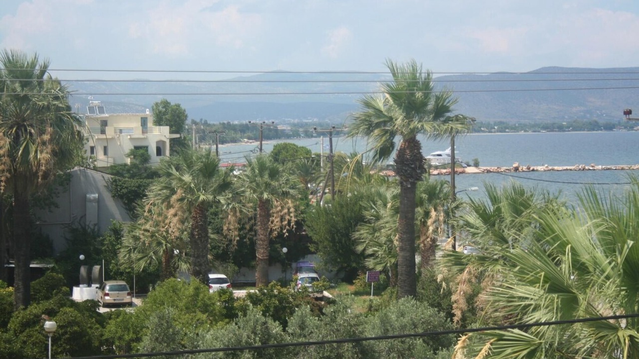 Photo of Outdoor in Nea Makri