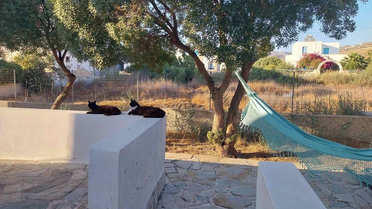 Photo of Outdoor in Ios Town