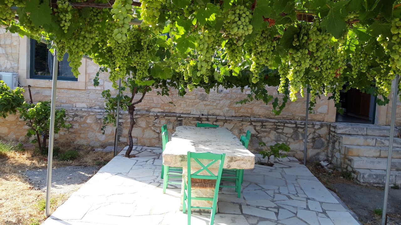 Photo of Outdoor in Margarites
