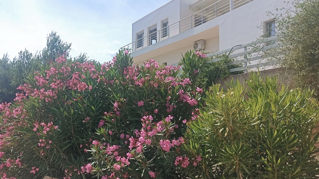 Photo of Outdoor in Mires