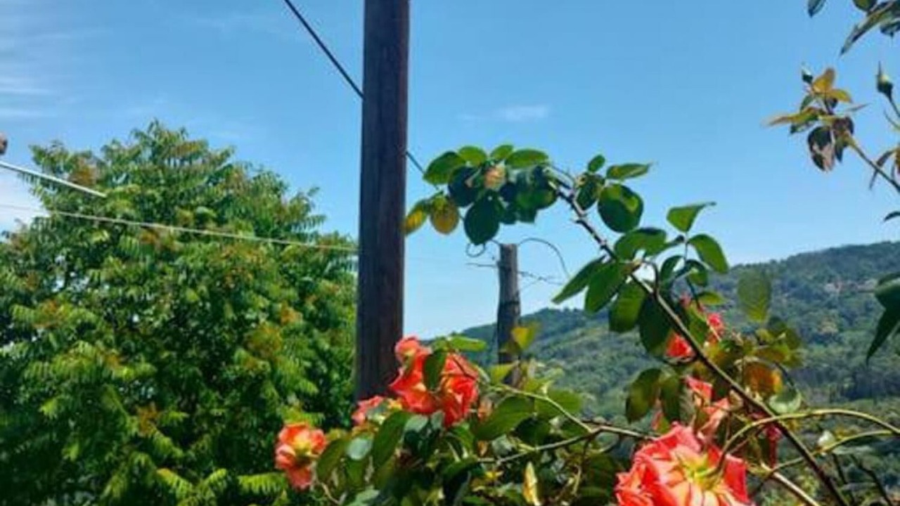 Photo of Outdoor in Makrirrakhi