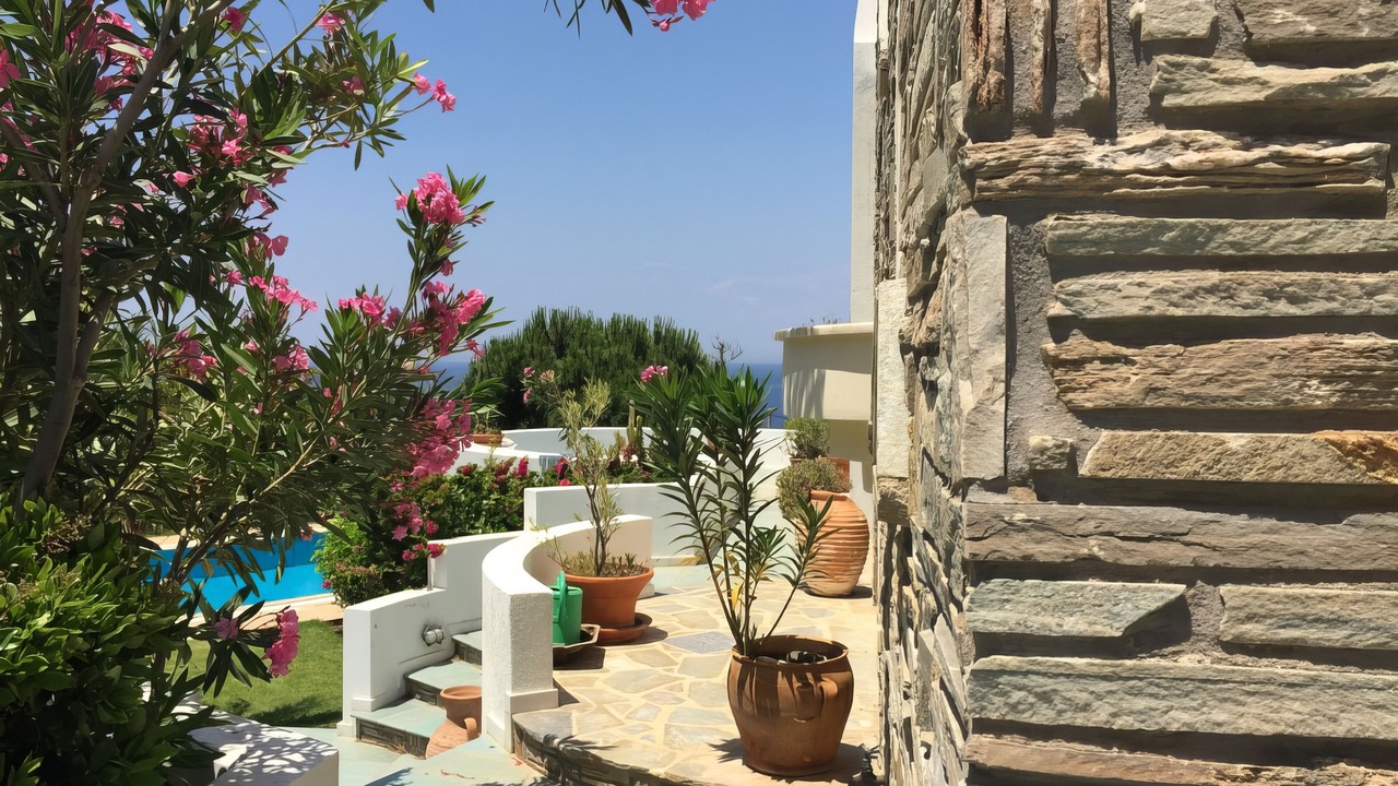Photo of Outdoor in Palaia Fokaia