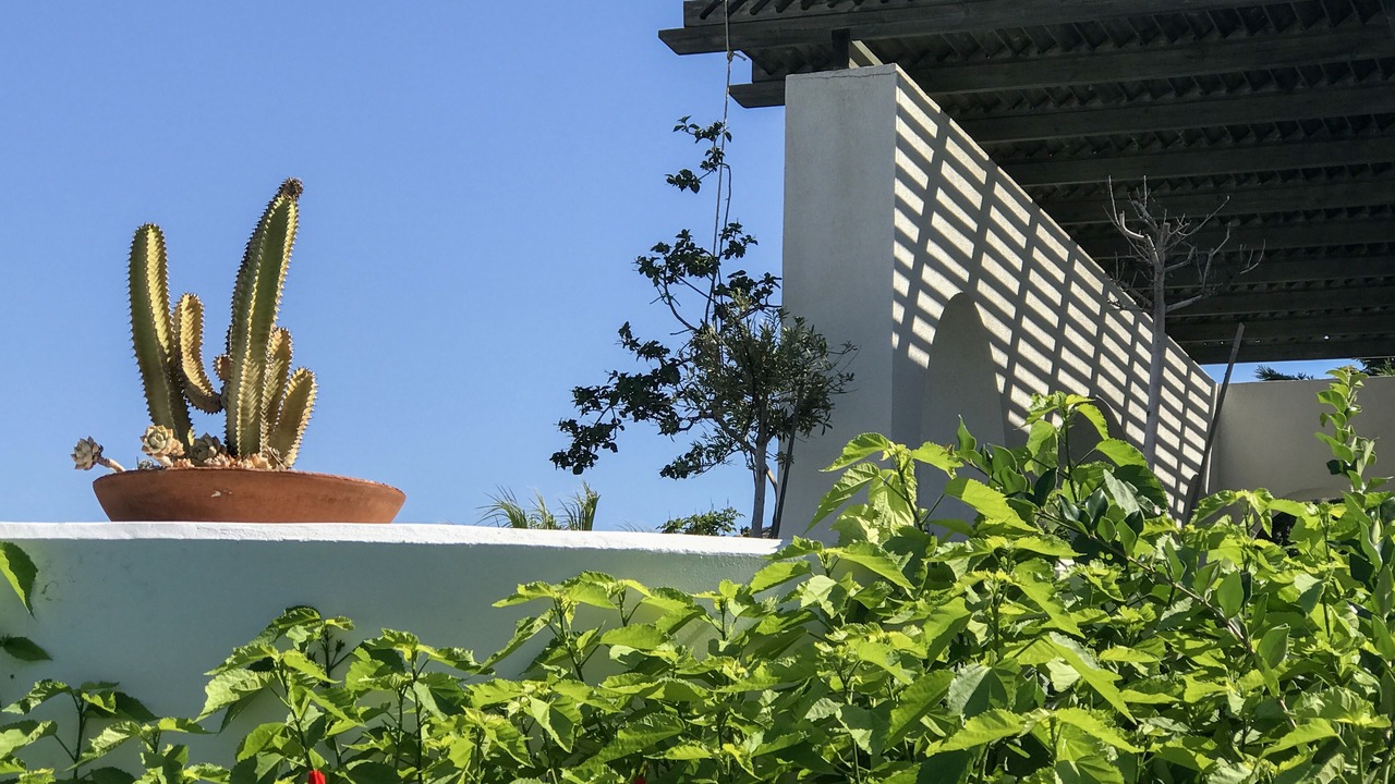 Photo of Outdoor in Palaia Fokaia