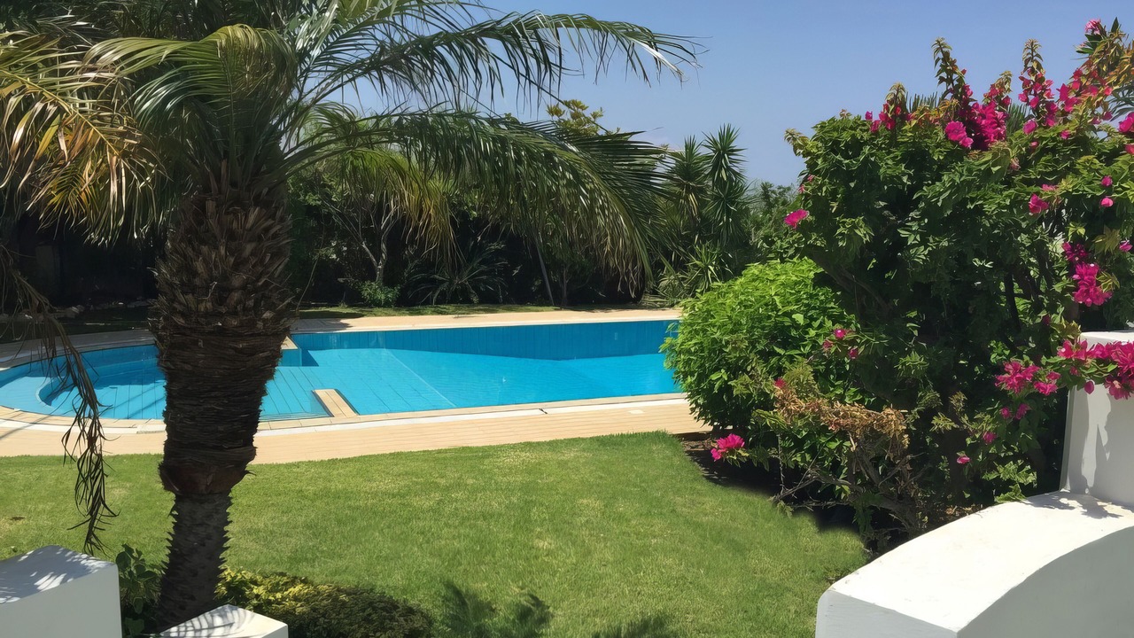 Photo of Outdoor in Palaia Fokaia